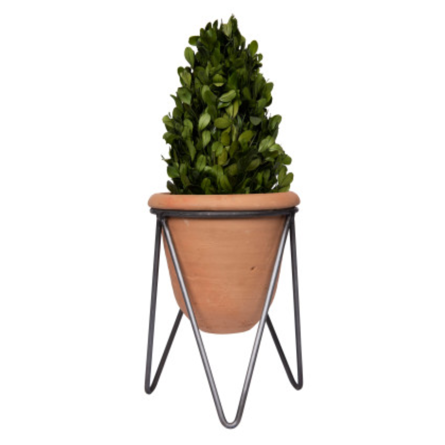 A terracotta pot with metal stand, viewed from a slight angle, displaying the pot's brown color and the metallic legs supporting it.